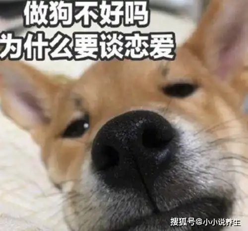 幽默段子这几天感冒去看医生,医生问什么症状
