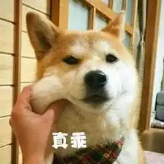 七大姨八大姑聊天话术北航人拜年必备
