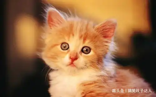 幽默笑话办公室的一姐,深夜发了一个被蚊子咬的动态
