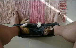 男子半夜上厕所发现门后竟有一双眼
