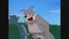 猫和老鼠有趣搞笑视频搞笑高清正版视频在线观看
