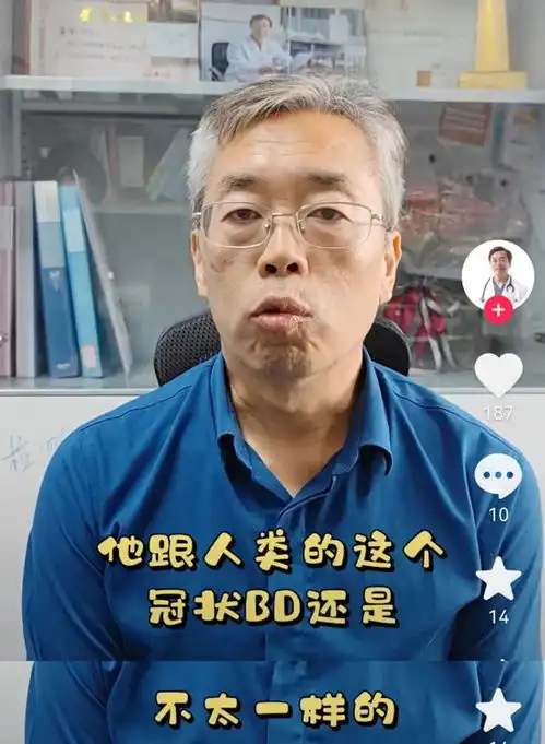 关注疫情之下,宠物到底怎么办
