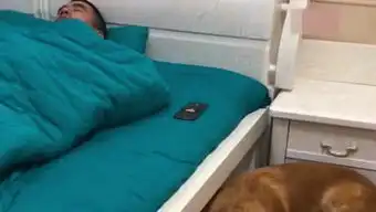 棕色的小熊的个人频道
