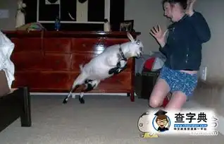 世界大战了搞笑图片
