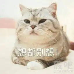 庞大的壳
