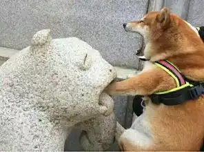 美女主播跟猴子合影结果猴子动凡心,抱得美人归
