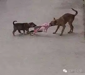 大姐是有多热啊,穿成这样
