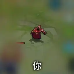 这就是王者农药中的你,厉害了我的哥

