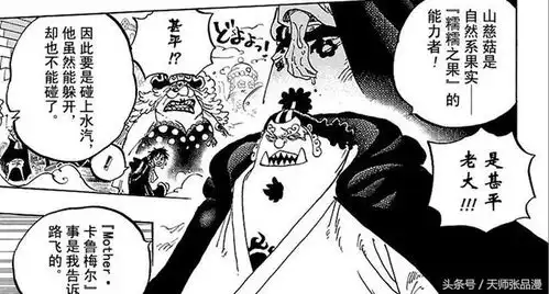 海贼王,恶魔果实中的两个异类,分类尾田都没搞清楚
