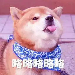 新品首发倒计时1天,你准备好了吗
