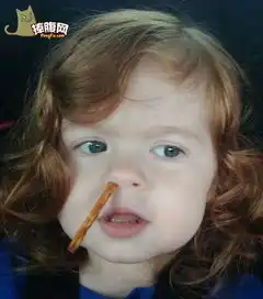 我家小小女汉子hao123网址导航
