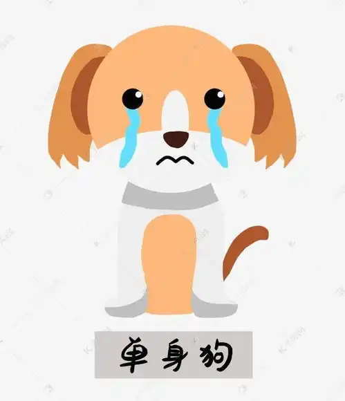 情人节适合单身狗发的搞笑说说文案,句句扎心
