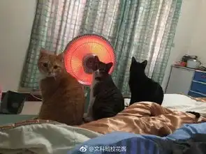 幽默段子集友说用用我的车让我去帮她搬家,结果特别心疼自己
