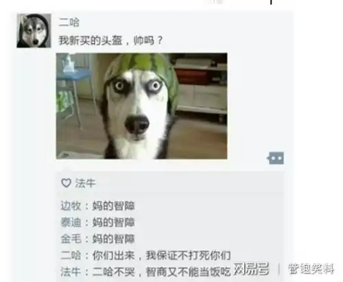 今日的搞笑奏章,朕已阅真是太可以了,还能这样玩自己的朋友圈163手机网易网
