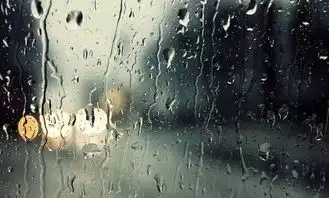 周末冷空气又来袭,深圳下周阴雨不断,你的阳光余额已不足
