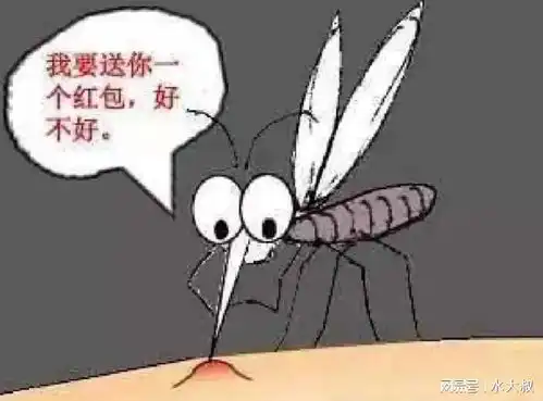 夏天家里蚊子多肥皂加一物,轻松将蚊子团灭,再也不用买蚊香了
