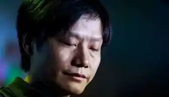 马云的喜与雷军的悲千万别把自己的品牌搞low了
