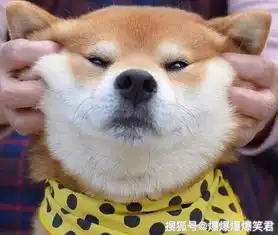 爆笑段子我打小是学国画的,后来遇到一个大师萤火虫
