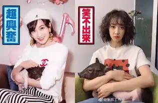 主演阵容很良心,但导演编剧却不给力
