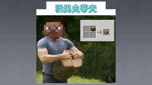 我被成就调戏了看到图片直接笑疯,我的世界的搞笑属性暴露
