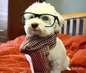 富爸爸穷爸爸现金流游戏之房产认识篇
