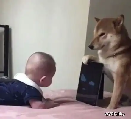 幽默搞笑段子集今个儿哥们儿心情好,我来倒一回垃圾,哈哈哈哈
