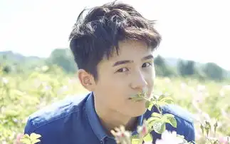 刘昊然白敬亭聊天方式,直男到无可救药,难怪你单身
