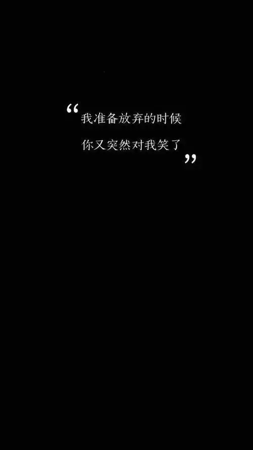 黑白文字壁纸我准备放弃的时候你突然对我笑了
