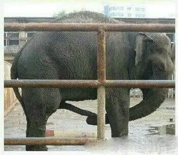 毁三观系列
