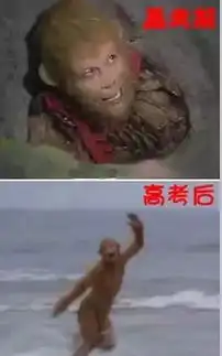 段子手丨考试前的和考试后的你
