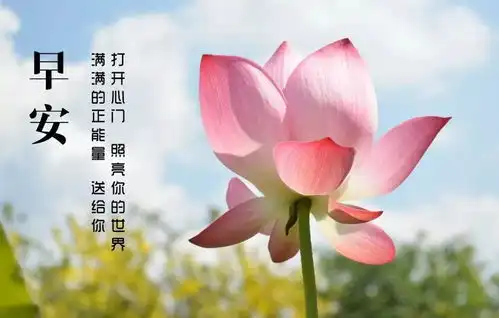 早安心语正能量经典语句早安图片励志带字
