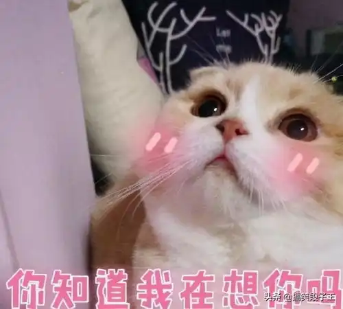 刚换了手机号码,想逗一下女主管,给她发了短信
