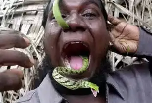 这些你只能在非洲看到
