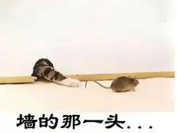 sasa的相册20090509
