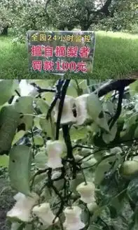 爆笑gif图每晚老婆都让我帮她按摩,真是让我累成了狗
