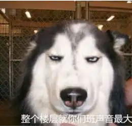 表情包体育老师今天有事我哈士奇表示怀疑
