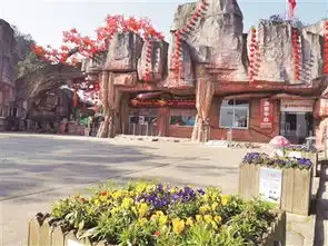 这个春节婺城这些好玩的地方等你来
