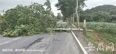 今天池州曾出现10级大风...暴风雨致池州多处行道树倾倒,交通中断...

