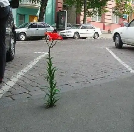搞笑gif趣图水瓢安全帽,保证安全,我们是最水的
