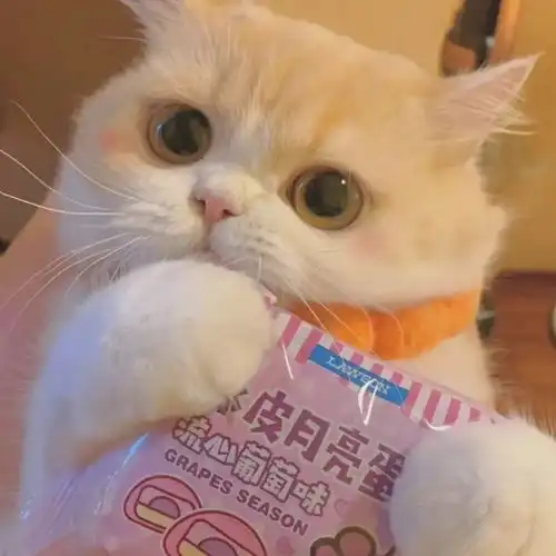 有哪些关于学生时代的文案
