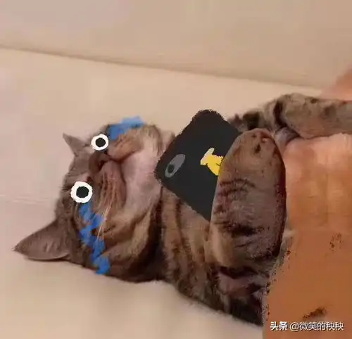 讲真,作为社会人的我们,如何拒绝消费主义的洗脑

