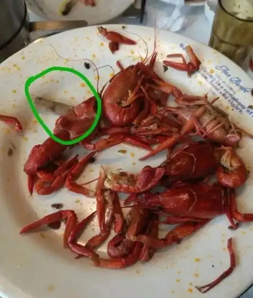 毒豆芽小龙虾里吃出烟头......这个在苏州有7家连锁的餐厅再上黑榜
