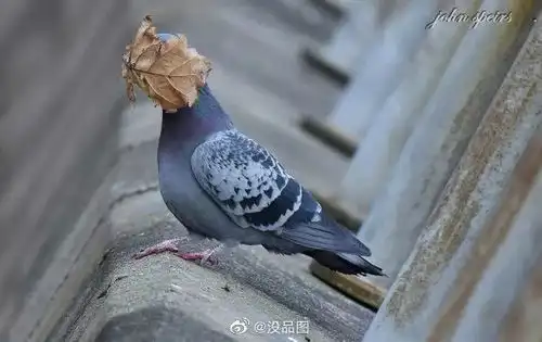 在家呆久了干啥都挨骂
