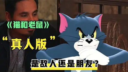 真人版猫和老鼠,是朋友还是敌人,爆笑喜剧猫和老鼠真人版
