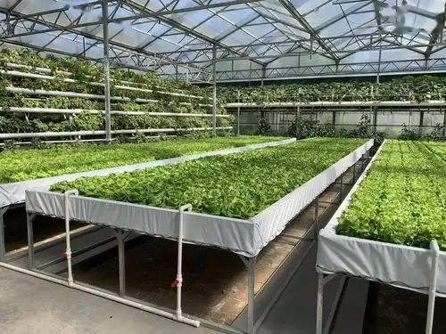 南瓜每天长10斤记者走进中国蔬菜之乡带你看种植业黑科技
