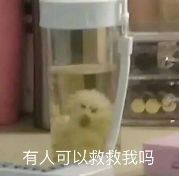 警惕厦门高温卷土重来福建已有人热进icu
