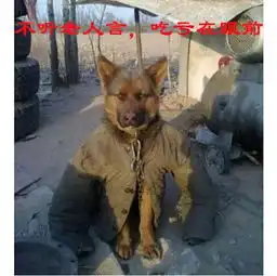 新闻哥如此猖狂把你家老爷叫出来
