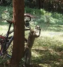 笑死人不偿命的囧图
