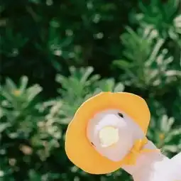 个性小清新的壁纸图片
