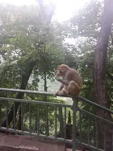 我的旅行日记五天四晚贵州游
